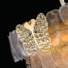 6-349-13xE14 - Image 3
